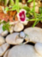 Oval Rainbow Moonstone bezel set Sterling Silver Ring, gifts, birthstone ring,Ireland base business,fast delivery