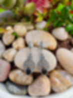 Vintage Style Black Onyx Silver Marcasite Earrings, Daily earrings, Irish Business, fast delivery